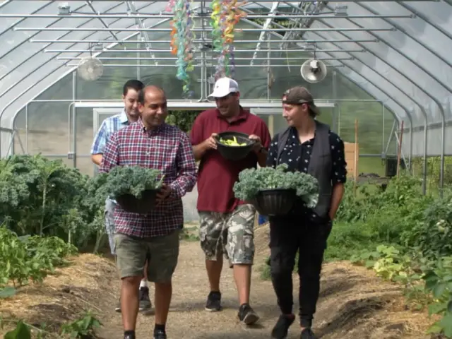 A group of adults walk through a greenhouse, lush with vegetables, holding baskets of produce.