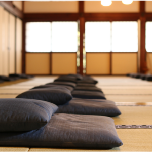 a peaceful meditation center, empty, with cushions awaiting meditators