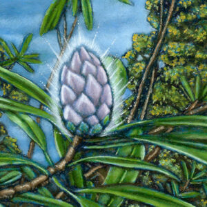 A painting of Nature featuring a pinecone on a tree in a forest.