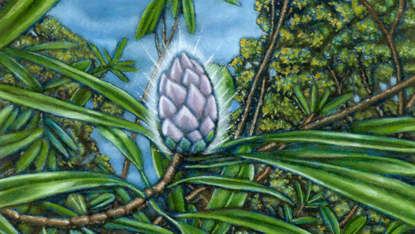 A painting of Nature featuring a pinecone on a tree in a forest.