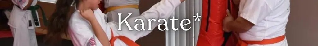 Brito's Karate at InterArts