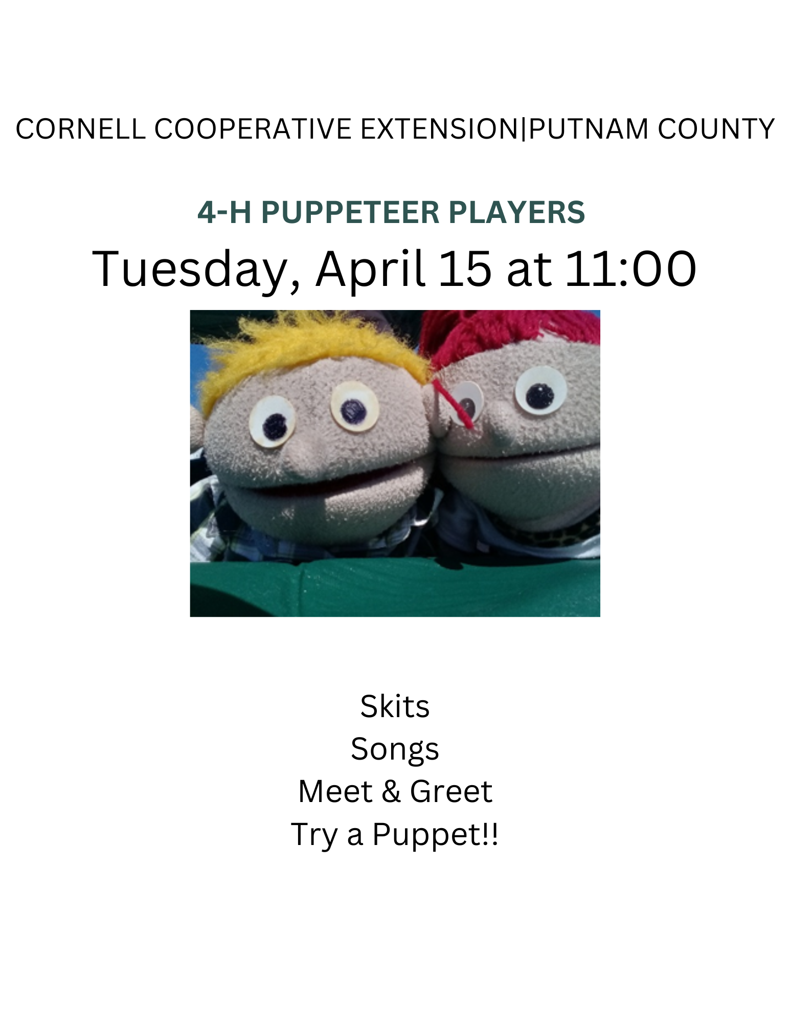 a flyer for a puppeteer performance