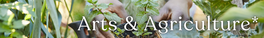 Arts and Agriculture at Cultivating Dreams Farm